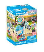 Playmobil ... -  books in polish 