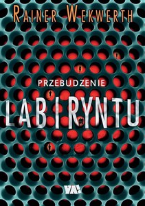 Obrazek Przebudzenie labiryntu