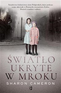 Obrazek Światło ukryte w mroku
