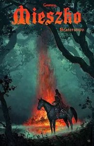 Picture of Mieszko 2 Braterstwo