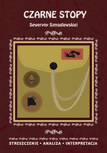 Obrazek Czarne Stopy Seweryny Szmaglewskiej Streszczenie, analiza, interpretacja