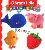 KOLORY OBR... - Emilie Beaumont, Nathalie Belineau -  foreign books in polish 