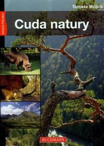 Obrazek Nasza Polska Cuda natury