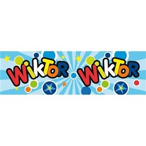 Picture of Bidon 300ml Wiktor