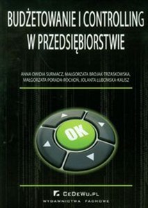 Obrazek Budżetowanie i controlling w przedsiębiorstwie