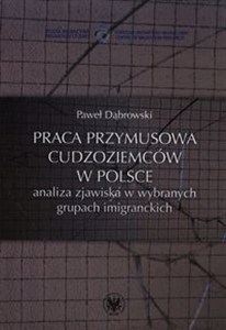 Obrazek Praca przymusowa cudzoziemców w Polsce analiza zjawiska w wybranych grupach imigranckich
