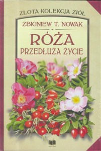 Obrazek Róża przedłuża życie