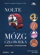 polish book : Mózg człow... - T.W. Vanderah, D.J. Gould