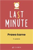 Prawo karn... - Opracowanie Redakcyjne -  books in polish 