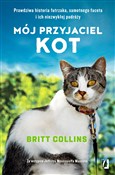 Mój przyja... - Britt Collins -  foreign books in polish 