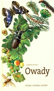 Obrazek Owady Flora i fauna lasów