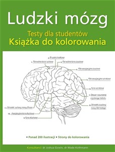Picture of Ludzki mózg. Testy dla studentów