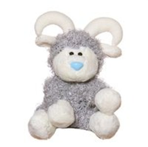 Obrazek Niebieski nosek - baran Kashmir