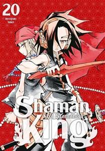 Picture of Shaman King. Tom 20