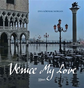 Picture of Venice my love