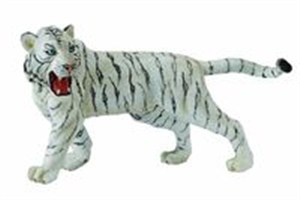 Obrazek Biały tygrys