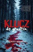 Polska książka : Klucz do g... - Konefał Andrzej