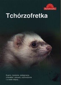 Obrazek Tchórzofretka