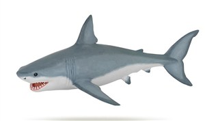 Obrazek Rekin biały