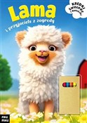 polish book : Lama i prz... - Opracowanie zbiorowe