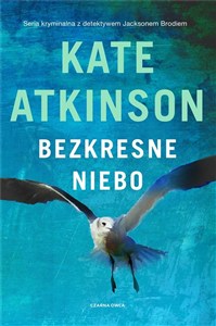 Obrazek Bezkresne niebo DL