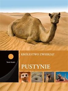 Obrazek Pustynie
