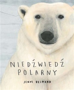 Picture of Niedźwiedź polarny