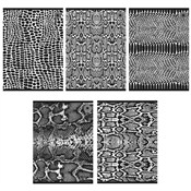 polish book : Zeszyt A5/...