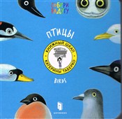 Ptaki/Bird... - Katia Taberko -  Polish Bookstore 