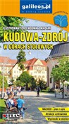 Przewodnik... - Opracowanie Zbiorowe -  books in polish 