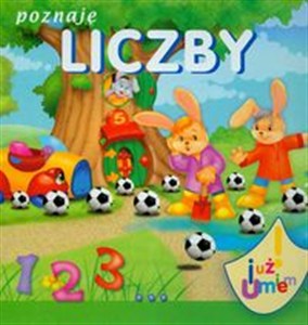 Obrazek Poznaję liczby