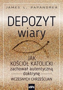 Obrazek Depozyt wiary Jak kościół katolicki zachował autentyczną doktrynę wczesnych chrześcijan