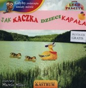 Zobacz : Jak kaczka... - Lech Tkaczyk