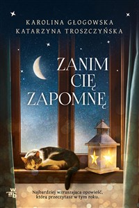 Obrazek Zanim cię zapomnę