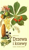 Polska książka : Drzewa i k... - Amann Gottfried