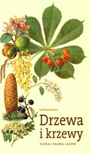 Obrazek Drzewa i krzewy