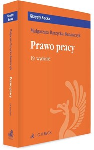 Obrazek Prawo pracy z testami online