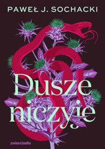Obrazek Dusze niczyje Wielkie Litery