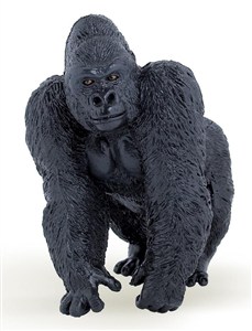 Picture of Goryl