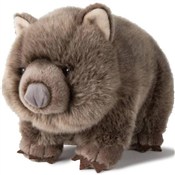 Książka : Wombat tor...