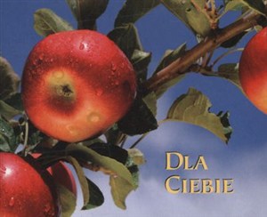 Obrazek Dla ciebie perełki