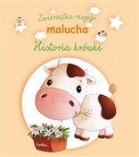 Historia n... - Claire Renaud, Elen Lescoat (ilustr.) -  books in polish 