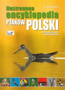 Obrazek Ilustrowana encyklopedia ptaków Polski