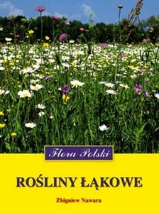 Obrazek Rośliny łąkowe