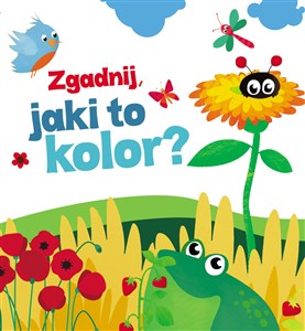 Picture of Zgadnij jaki to kolor