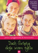 Duch Święt... - Michał Wilk -  books from Poland