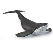 Humbak mło... -  books in polish 