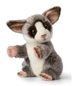 Polska książka : Lemur afry...