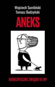 Polska książka : Aneks Nieb... - Wojciech Sumliński, Tomasz Budzyński