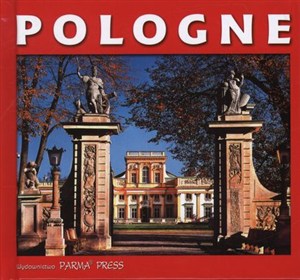 Obrazek Polska wersja francuska